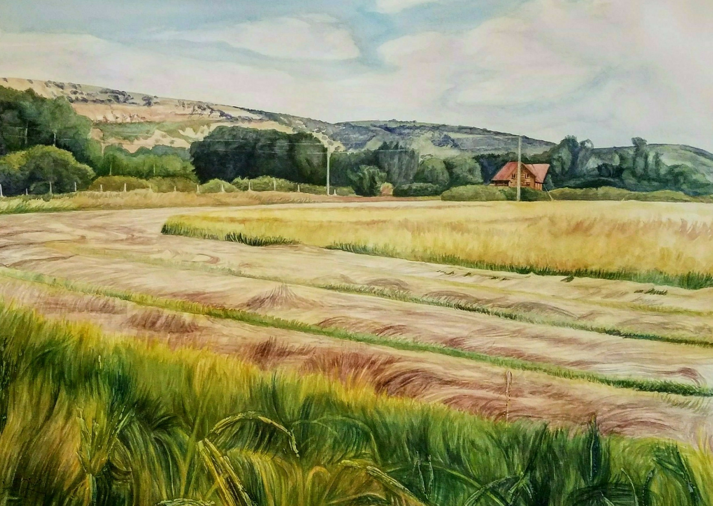 received_1485475558309115-1-1_3-1-1-1-1-1-1-1